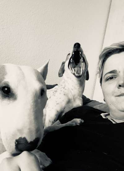 Dogorama Photo Challenge - Dein Hund beim Gähnen-Beitrag-Bild