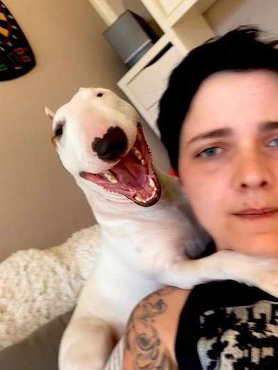 Die lustigsten Selfies mit Deinem Hund !-Beitrag-Bild
