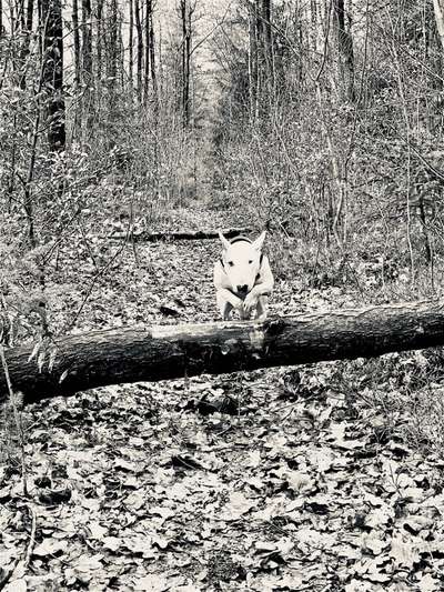 Fotochallenge Nr. 52 „Spring!“-Beitrag-Bild