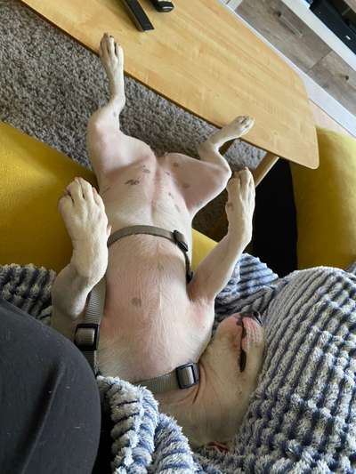 CHALLENGE NR. 34 - Liege-/Schlafpositionen-Beitrag-Bild