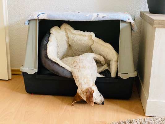 CHALLENGE NR. 34 - Liege-/Schlafpositionen-Beitrag-Bild