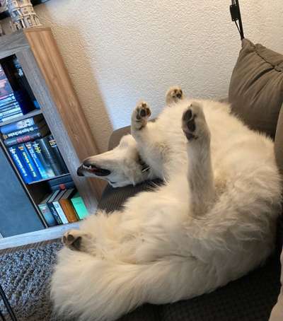 Foto Challenge Nr. 134-Beitrag-Bild