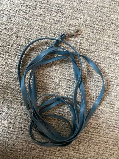 Biothane Schleppleine 5M-Beitrag-Bild