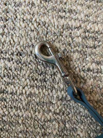 Biothane Schleppleine 5M-Beitrag-Bild