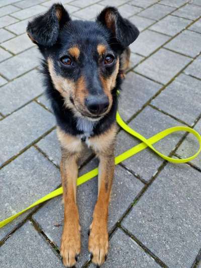 Lieblingsbild-Beitrag-Bild