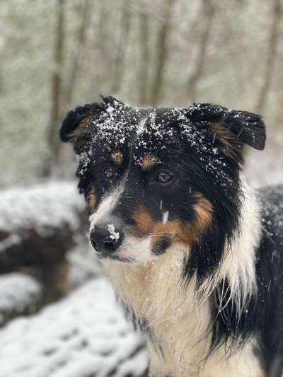 Fotowettbewerb Natur-Beitrag-Bild
