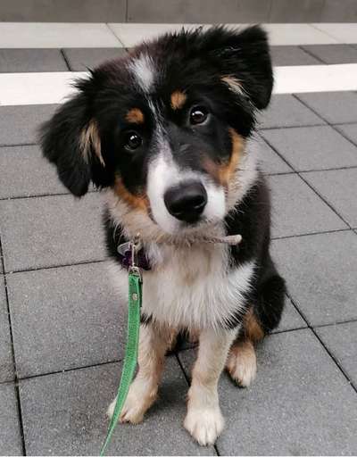 Foto Challenge 82-Beitrag-Bild