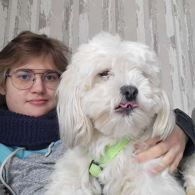 Hundetreffen-Sunny würde sich freuen mit anderen Hunden zu spielen-Profilbild