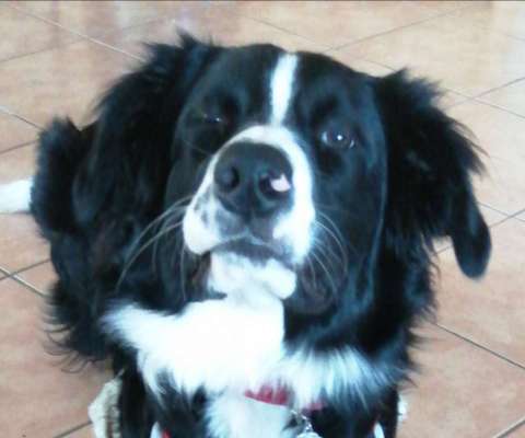 Fotochallange Nr. 57     PORTRÄT.   Beendet!!!!!!!!-Beitrag-Bild