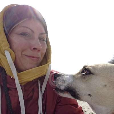 Hundetreffen-Treffen in und um Panketal-Profilbild