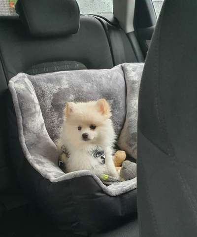 Das erste Foto-Beitrag-Bild