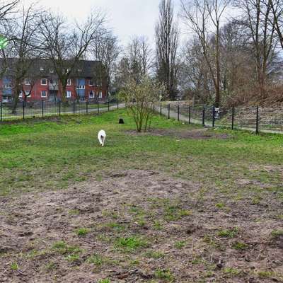 Hundeauslaufgebiet-Eingezäunte Hundefläche in Walle-Bild