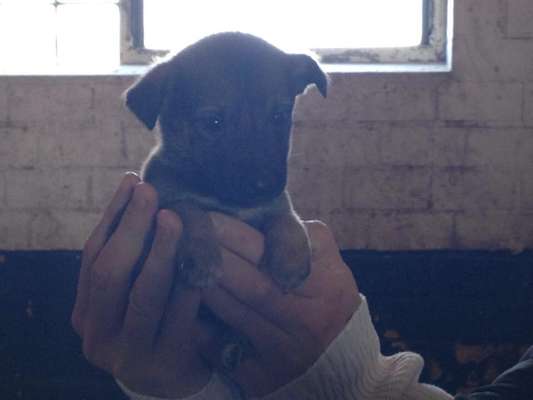 Foto Challenge 3-Beitrag-Bild