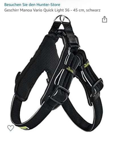 Französische Bulldoggen-Beitrag-Bild