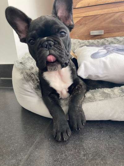 Lieblingsbild :D-Beitrag-Bild