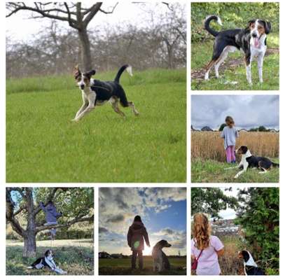 32. Collagen Challenge - eure liebsten gestellten Fotos-Beitrag-Bild