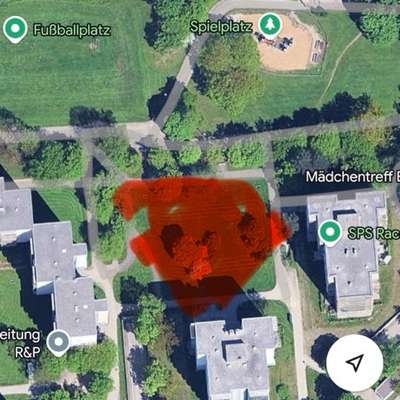 Giftköder-⚠️ Giftköder-Warnung – bitte aufmerksam-Bild