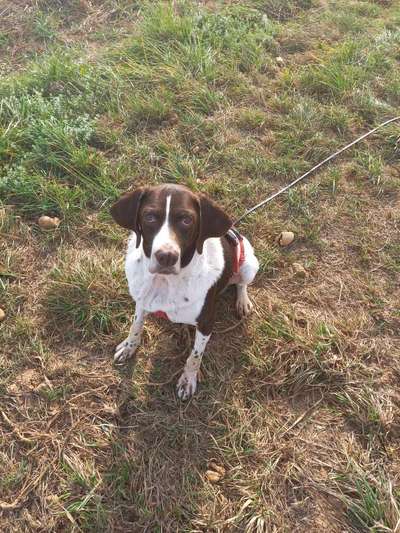 Was hat euch heute gefreut?-Beitrag-Bild