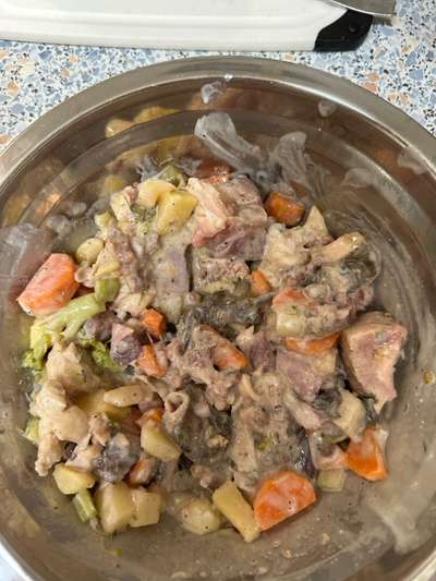 Zeigt her Eure Futternäpfe-Beitrag-Bild