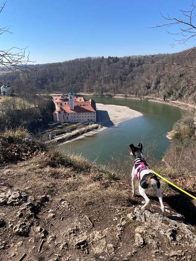 Dogorama Foto Challenge - Wanderziel-Beitrag-Bild