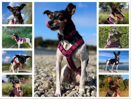 18. Collagen Challenge - Zunge raus!-Beitrag-Bild