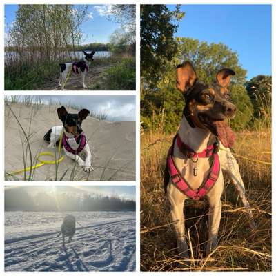 1. Fotochallenge Collagen - 4 Jahreszeiten-Beitrag-Bild