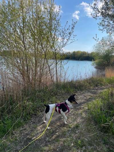 Fotochallenge Nr.89 - Charakter und Wesen-Beitrag-Bild