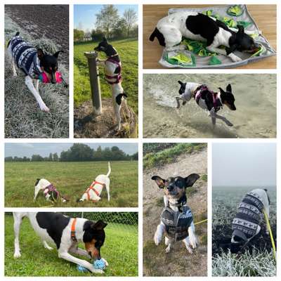 12. Collagen Challenge - Auslastung/Training-Beitrag-Bild