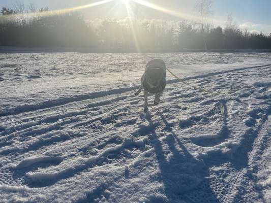 Schnee Foto-Beitrag-Bild