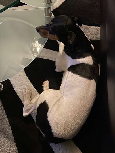 Ton in Ton-Beitrag-Bild