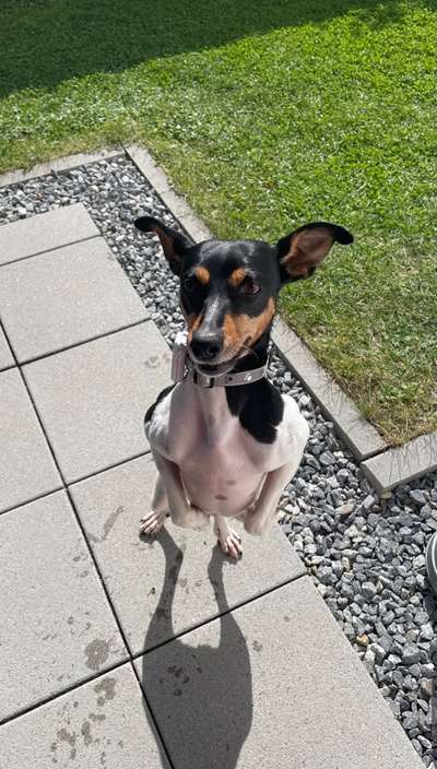 Fotochallange 84-Beitrag-Bild