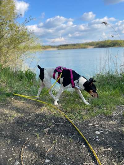 20. Handy -Foto-Callenge-Beitrag-Bild