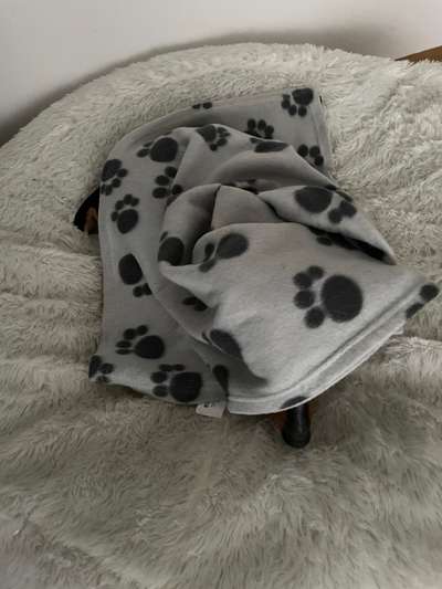 143. Fotochallenge: Ja, wo isser denn?-Beitrag-Bild