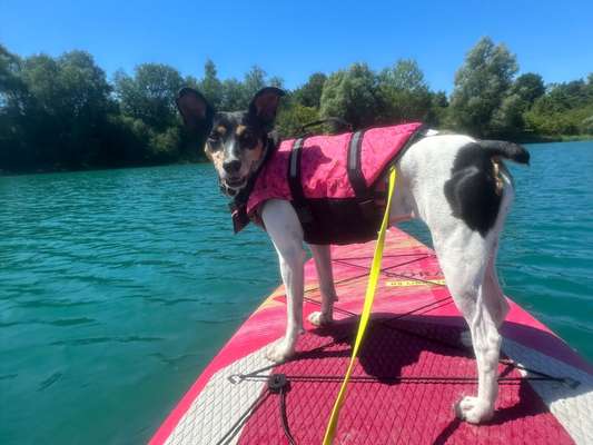 19. Farben  Fottochallenge :
Lieblingsfarbe-Beitrag-Bild