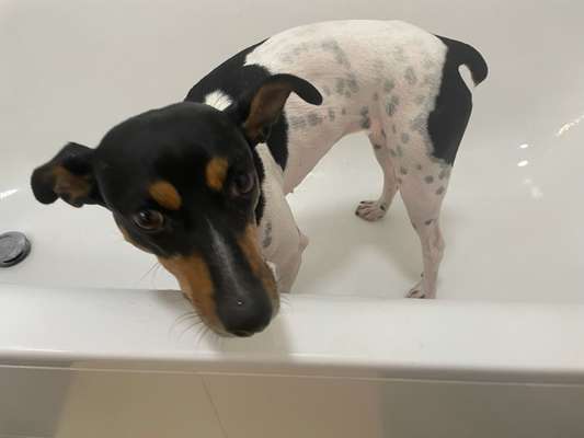 22. Handy Foto - Challenge-Beitrag-Bild