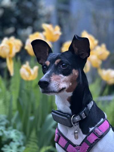 9.Farben-Fotochallenge            Gelb-Beitrag-Bild