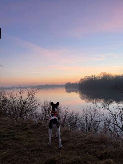 Dogorama-Monats-Challenge-Mai "Wasser"-Beitrag-Bild