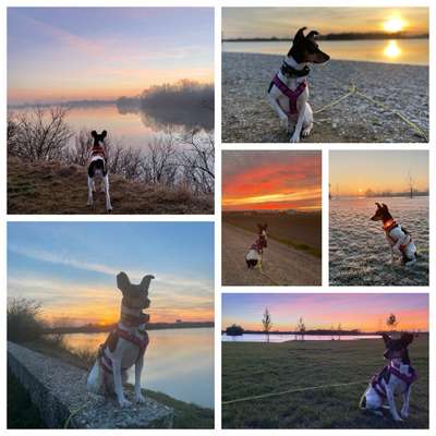 14. Collagen Challenge- Sonnenaufgang & -Untergang-Beitrag-Bild