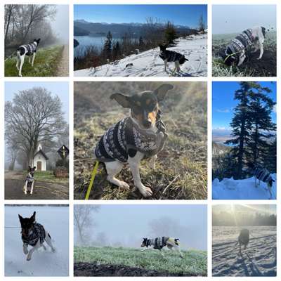 13. Collage- Challenge 
Beschäftigung in der kalten Jahreszeit-Beitrag-Bild