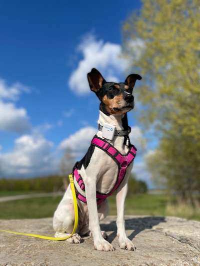 FOTOCHALLENGE 86-Beitrag-Bild