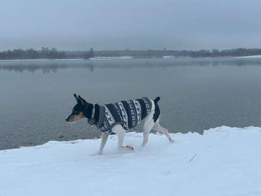 Dogorama Photo Challenge - Winterstimmung-Beitrag-Bild