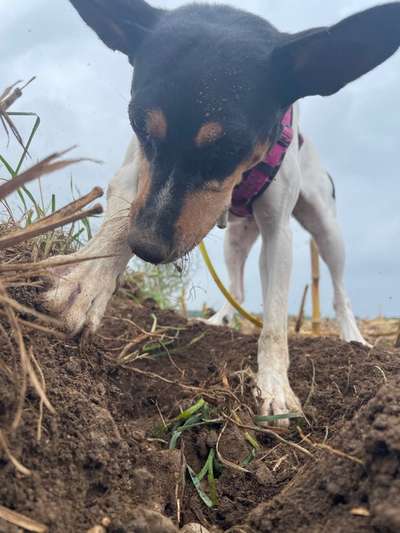 23. Handy Foto-Challenge-Beitrag-Bild