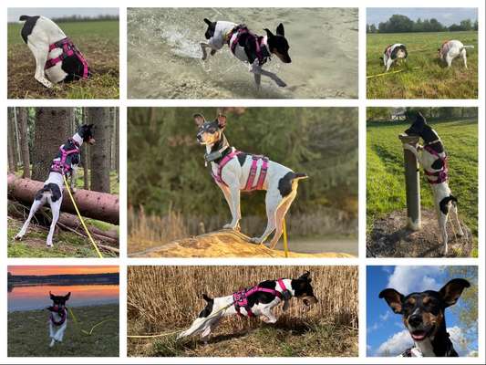 22. Collagen Challenge- Lebensfreude-Beitrag-Bild