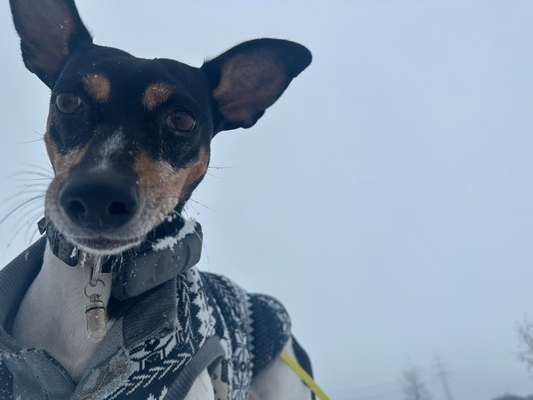 118. Fotochallange-Beitrag-Bild