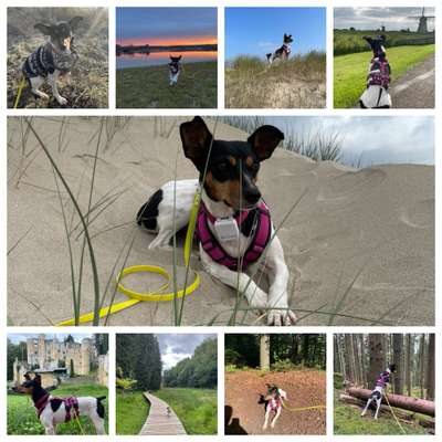 Euer schönster Moment des Jahres auf einem Bild!-Beitrag-Bild