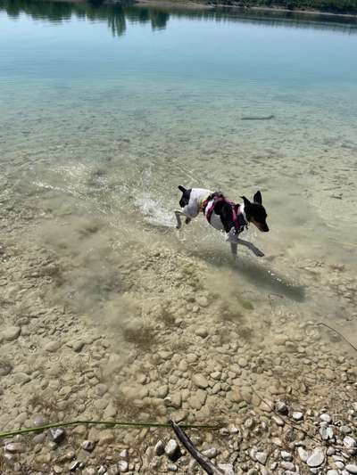 Fotochallenge Nr. 94 It's summer time-Beitrag-Bild