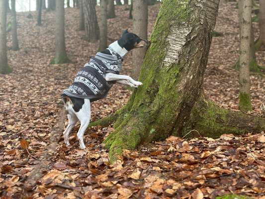 27. Handy Fotochallenge-Beitrag-Bild