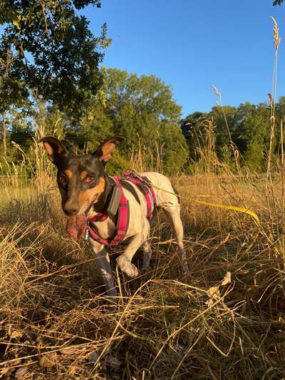 Fotochallenge 113: Auf frsicher Tat ertappt-Beitrag-Bild