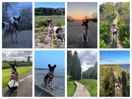 30. Collagen Challenge - Wege/Straßen-Beitrag-Bild