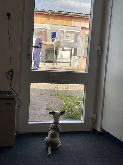 120. Fotochallenge-Beitrag-Bild